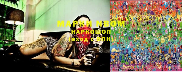 PSILOCYBIN Богданович