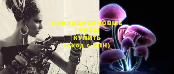 ПСИЛОЦИБИНОВЫЕ ГРИБЫ Богородск