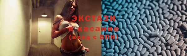 крисы Богородицк