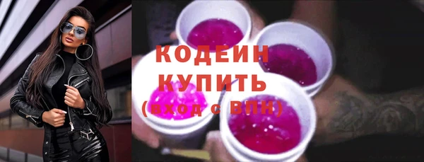 крисы Богородицк