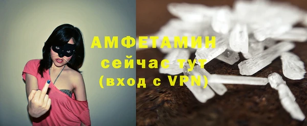 крисы Богородицк