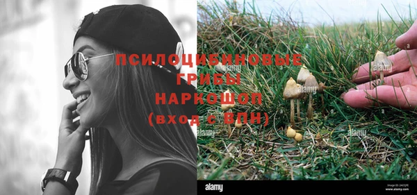 ПСИЛОЦИБИНОВЫЕ ГРИБЫ Богородск