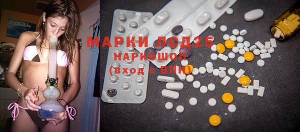 PSILOCYBIN Богданович