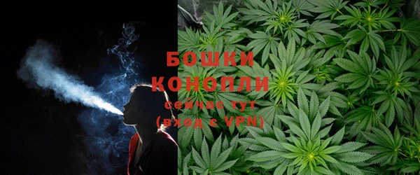 ПСИЛОЦИБИНОВЫЕ ГРИБЫ Богородск