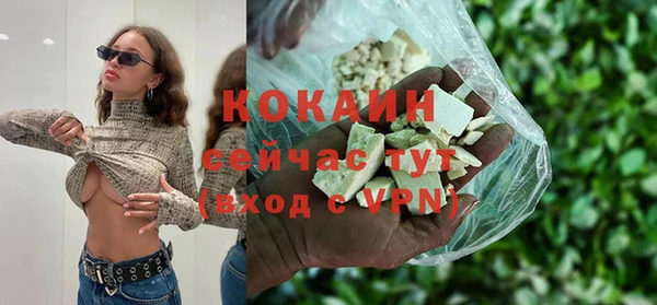 PSILOCYBIN Богданович