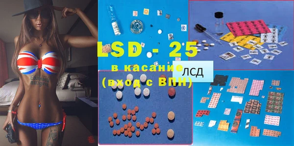 крисы Богородицк