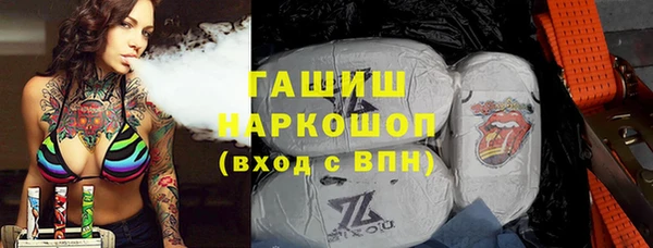 крисы Богородицк