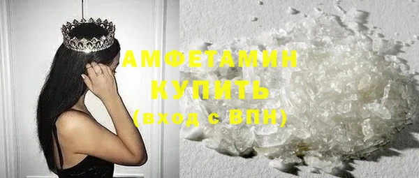 крисы Богородицк