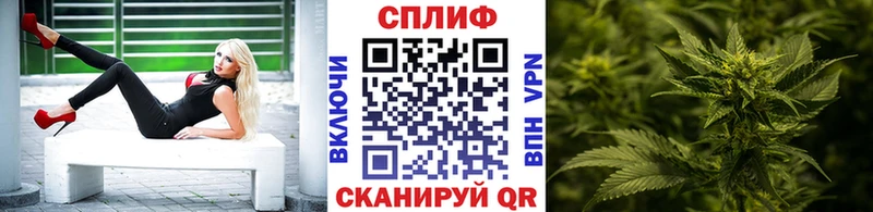 Бошки марихуана VHQ  где купить наркотик  Светлый 